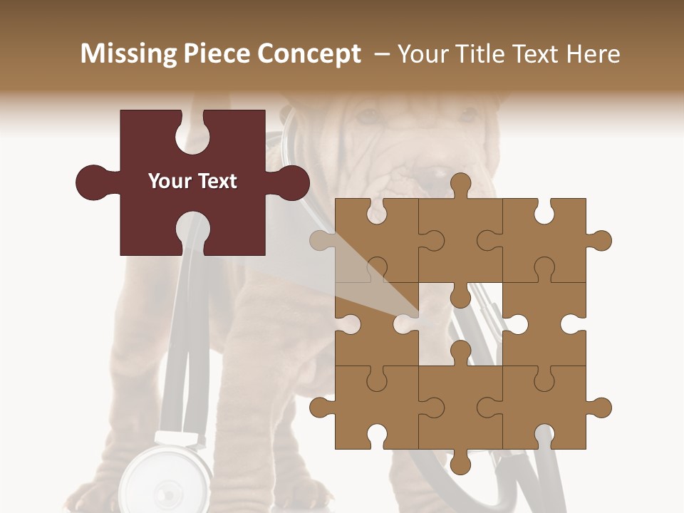 Friend Domestic Health PowerPoint Template