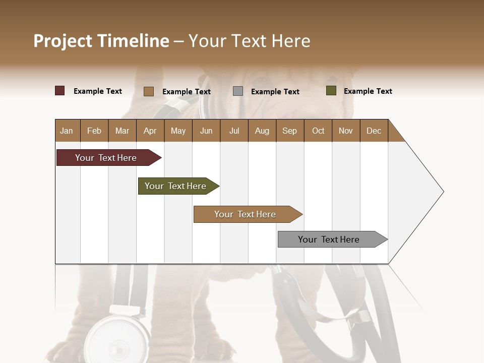Friend Domestic Health PowerPoint Template