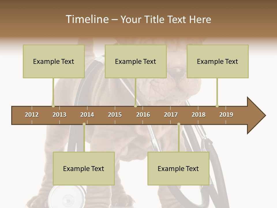 Friend Domestic Health PowerPoint Template