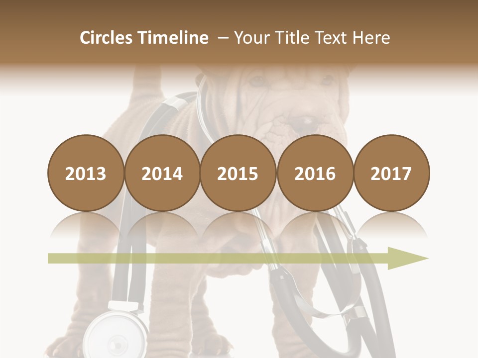 Friend Domestic Health PowerPoint Template