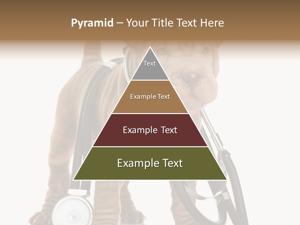 Friend Domestic Health PowerPoint Template