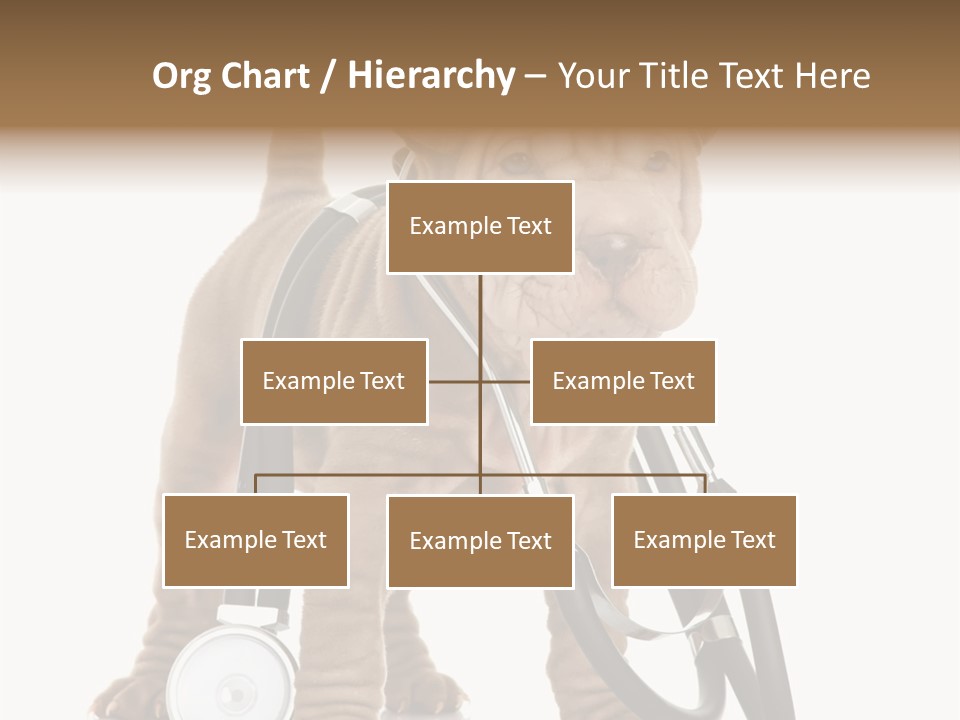 Friend Domestic Health PowerPoint Template
