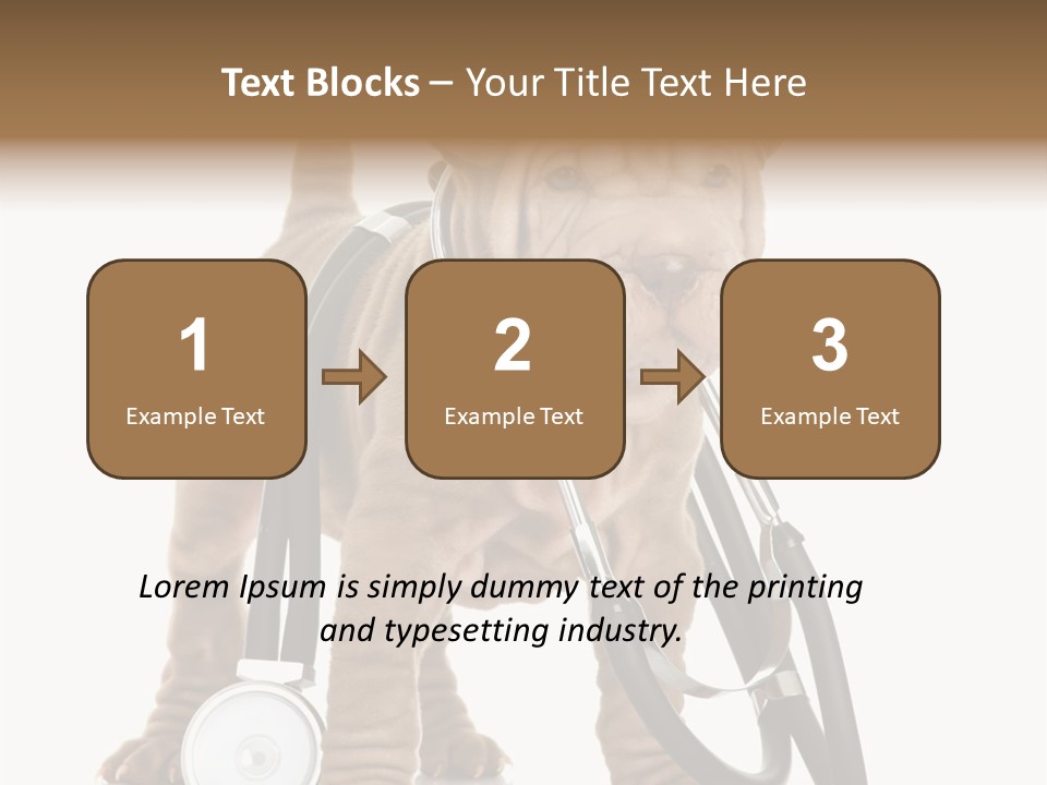 Friend Domestic Health PowerPoint Template