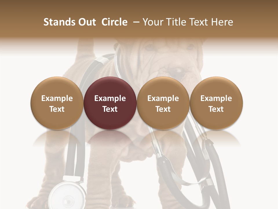 Friend Domestic Health PowerPoint Template