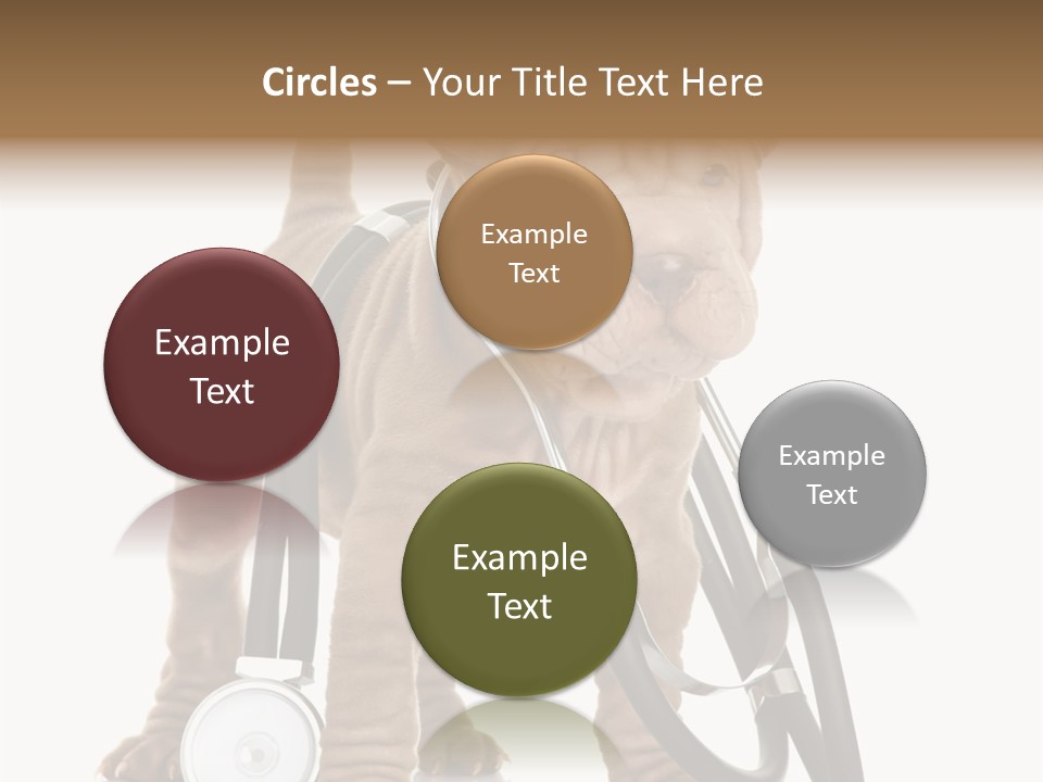 Friend Domestic Health PowerPoint Template