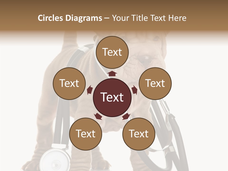 Friend Domestic Health PowerPoint Template