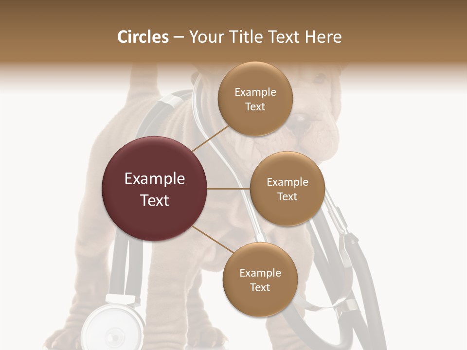 Friend Domestic Health PowerPoint Template