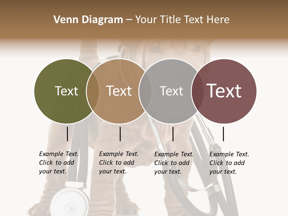 Friend Domestic Health PowerPoint Template