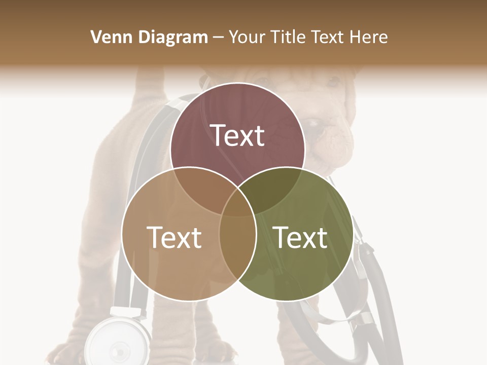 Friend Domestic Health PowerPoint Template