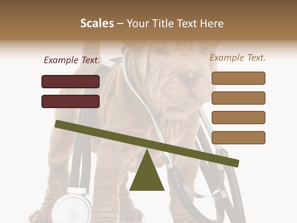 Friend Domestic Health PowerPoint Template