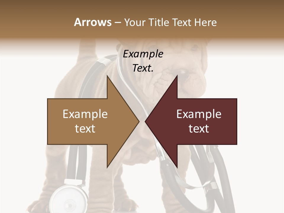 Friend Domestic Health PowerPoint Template