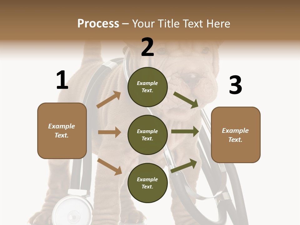 Friend Domestic Health PowerPoint Template