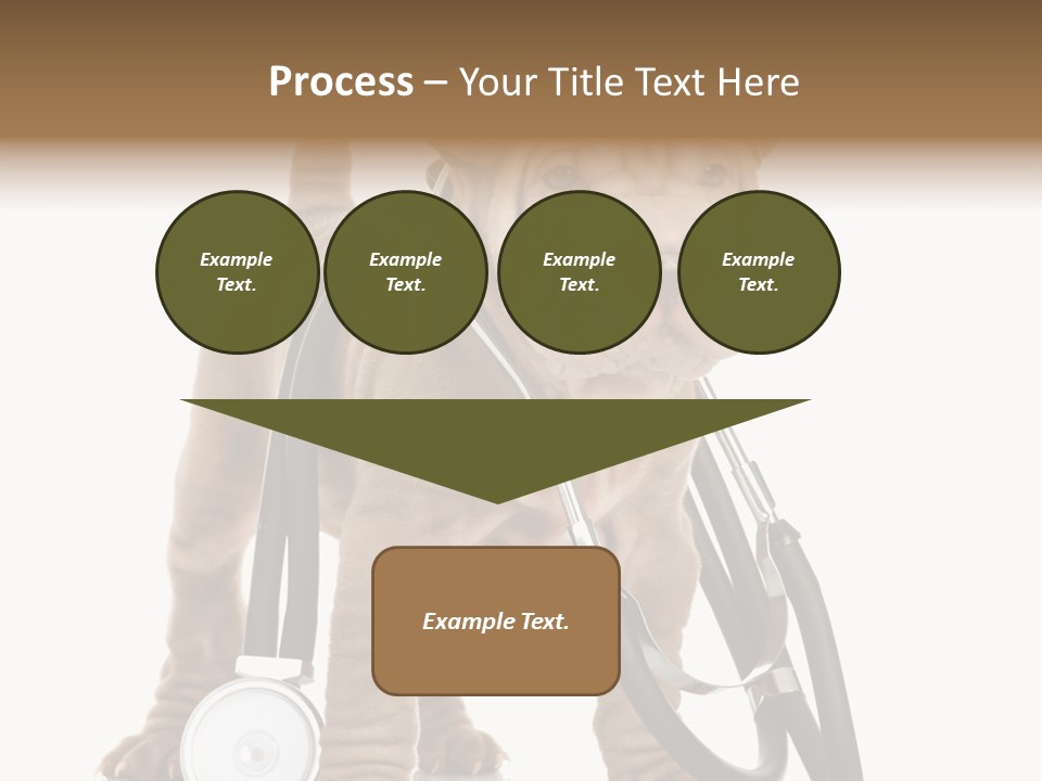 Friend Domestic Health PowerPoint Template