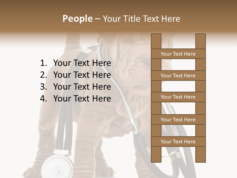 Friend Domestic Health PowerPoint Template