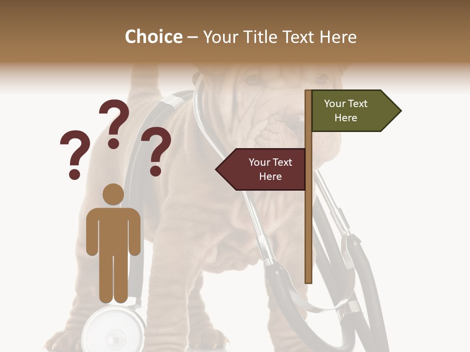 Friend Domestic Health PowerPoint Template