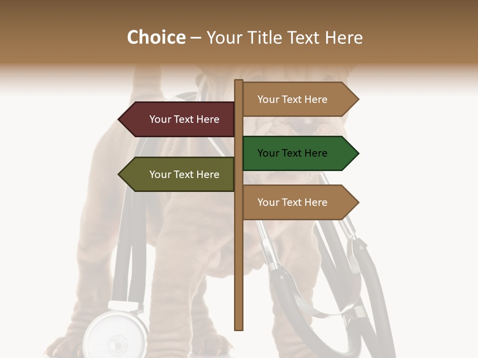 Friend Domestic Health PowerPoint Template
