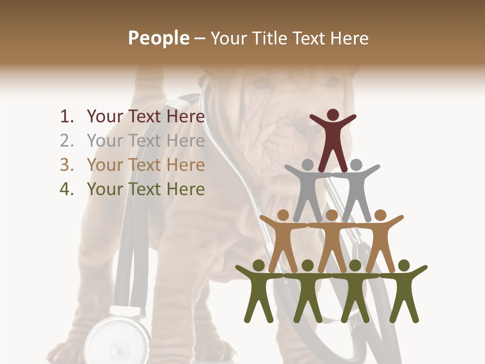 Friend Domestic Health PowerPoint Template