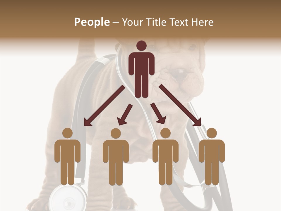 Friend Domestic Health PowerPoint Template