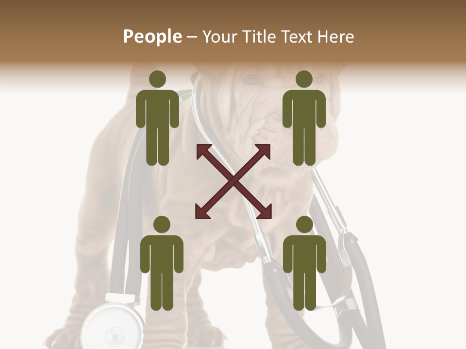 Friend Domestic Health PowerPoint Template