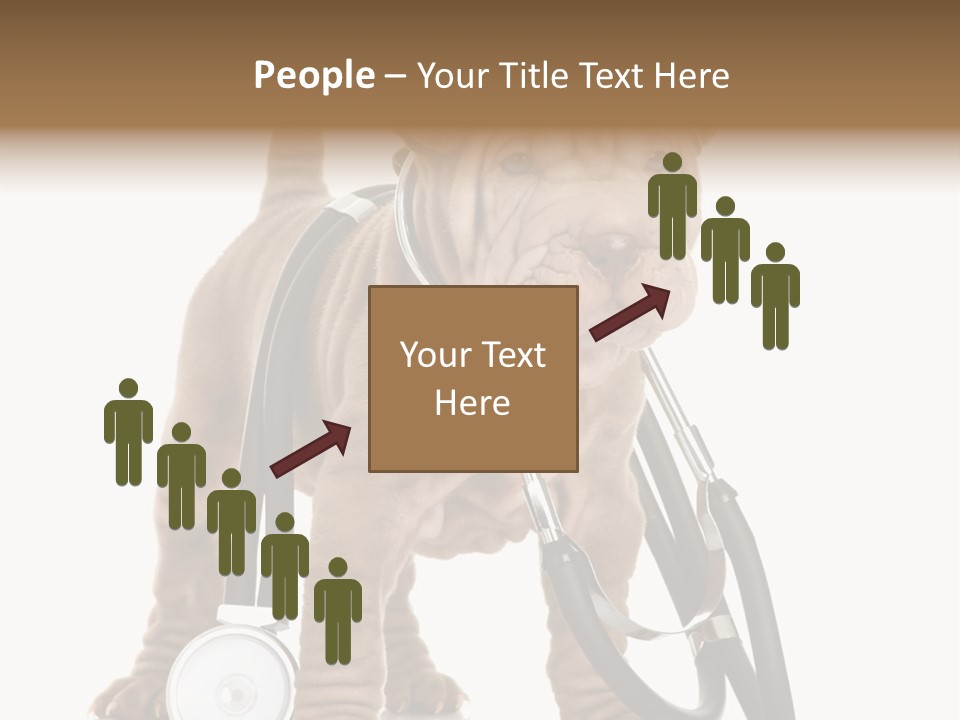 Friend Domestic Health PowerPoint Template