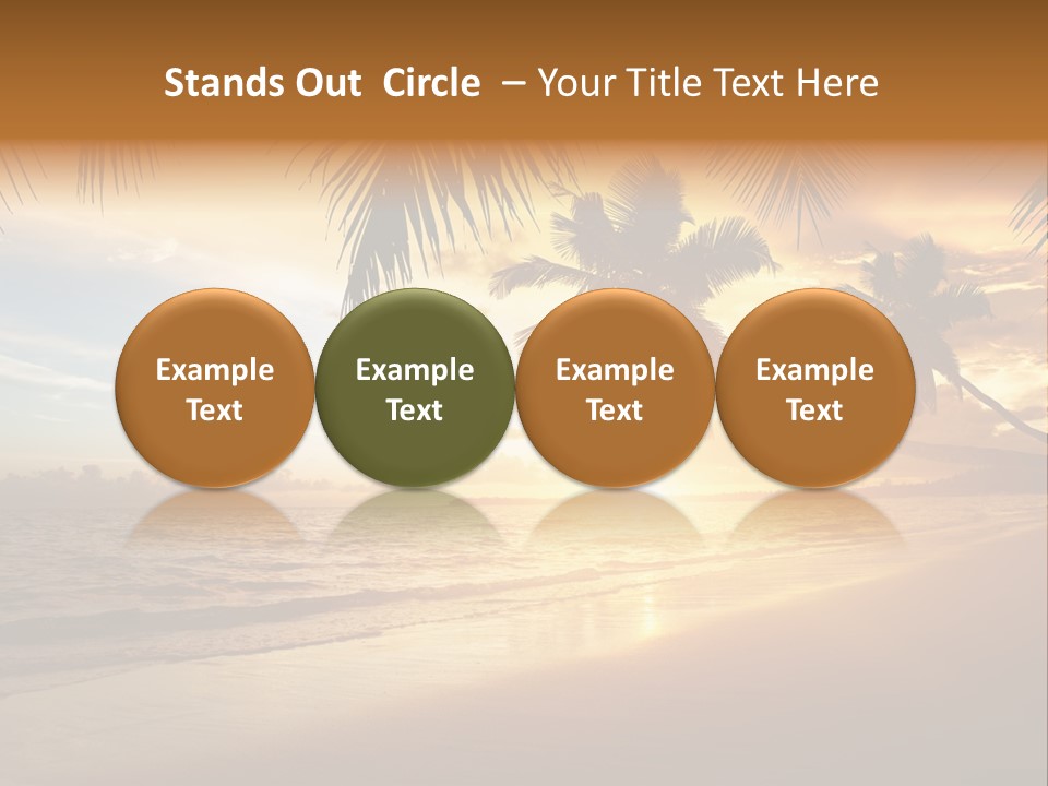 Sunlight Coconut Caribbean PowerPoint Template