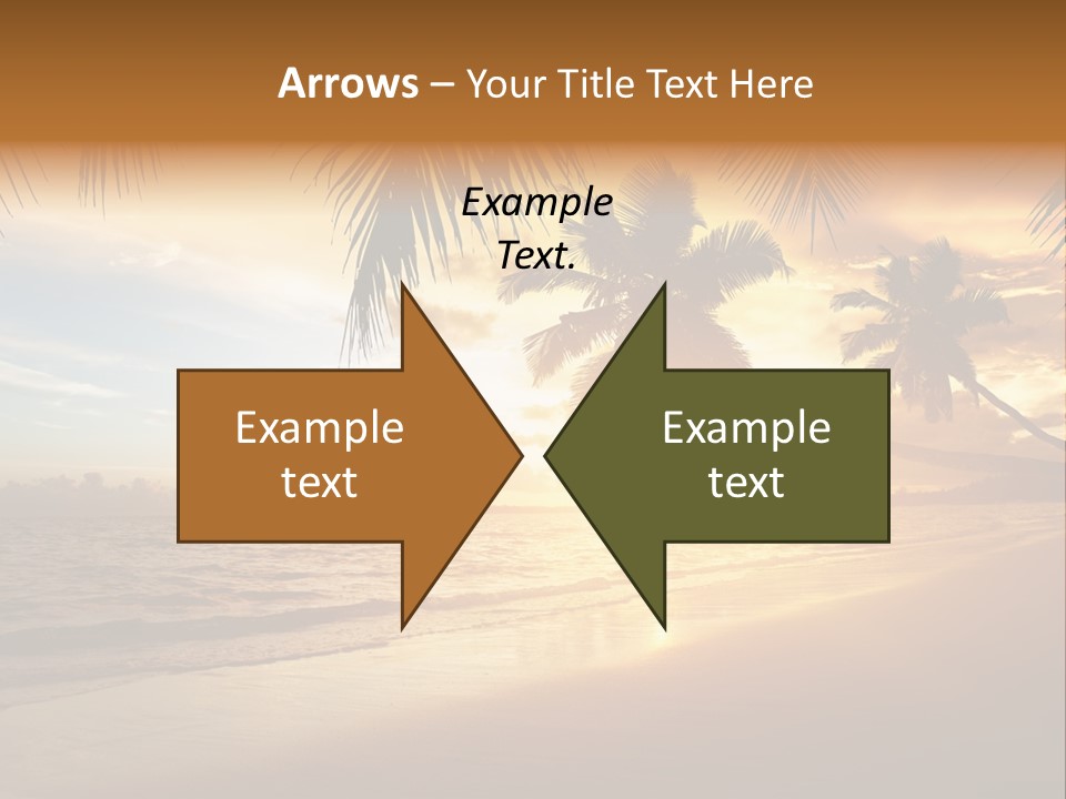 Sunlight Coconut Caribbean PowerPoint Template