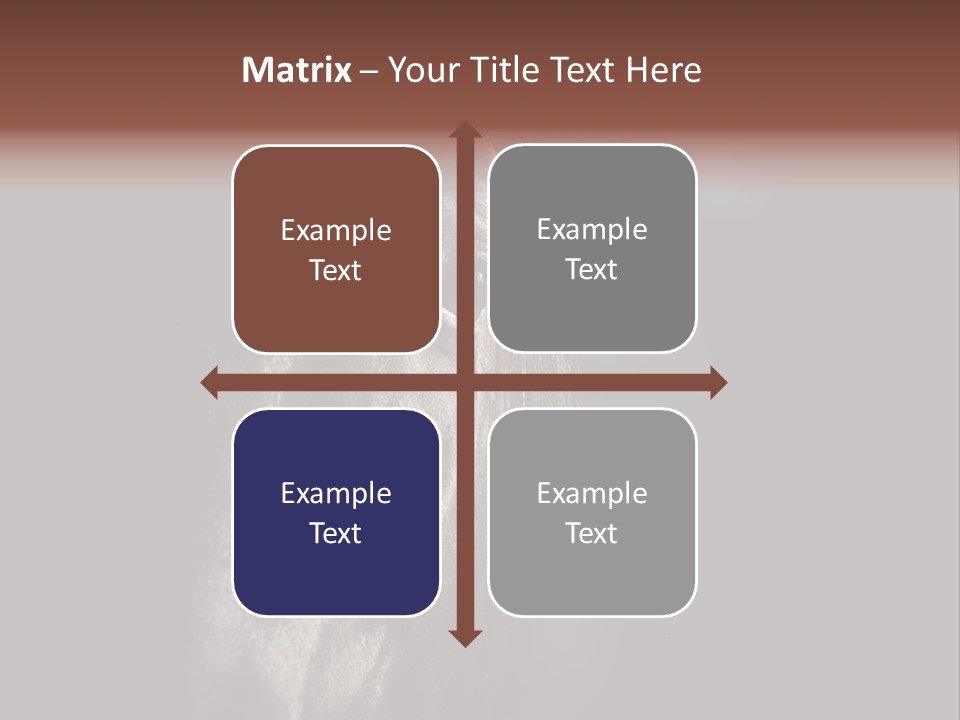 Staring Harness Horse PowerPoint Template