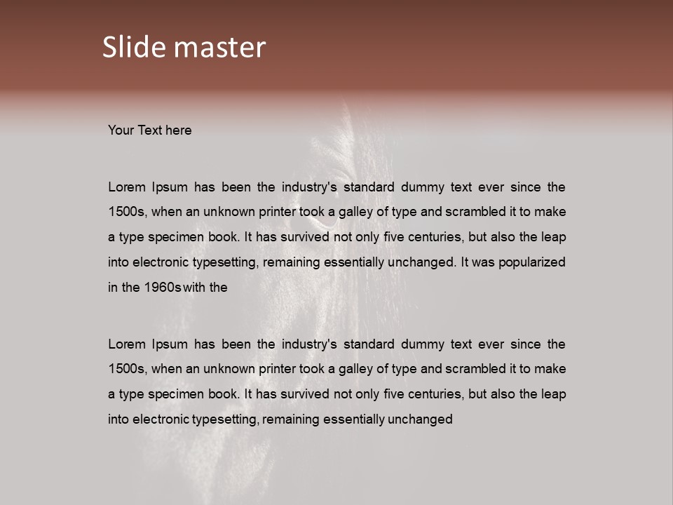 Staring Harness Horse PowerPoint Template