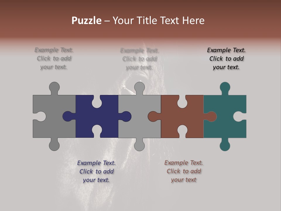 Staring Harness Horse PowerPoint Template