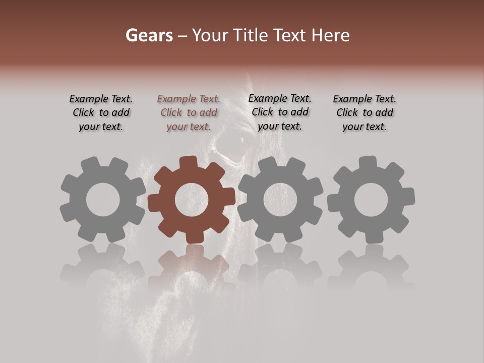 Staring Harness Horse PowerPoint Template