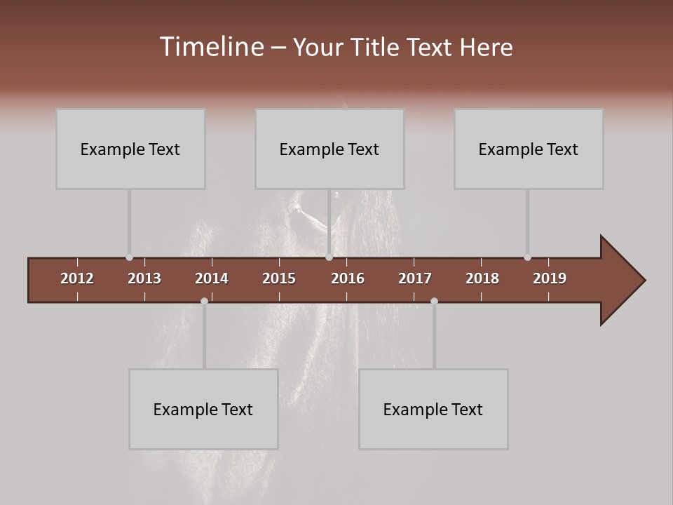 Staring Harness Horse PowerPoint Template
