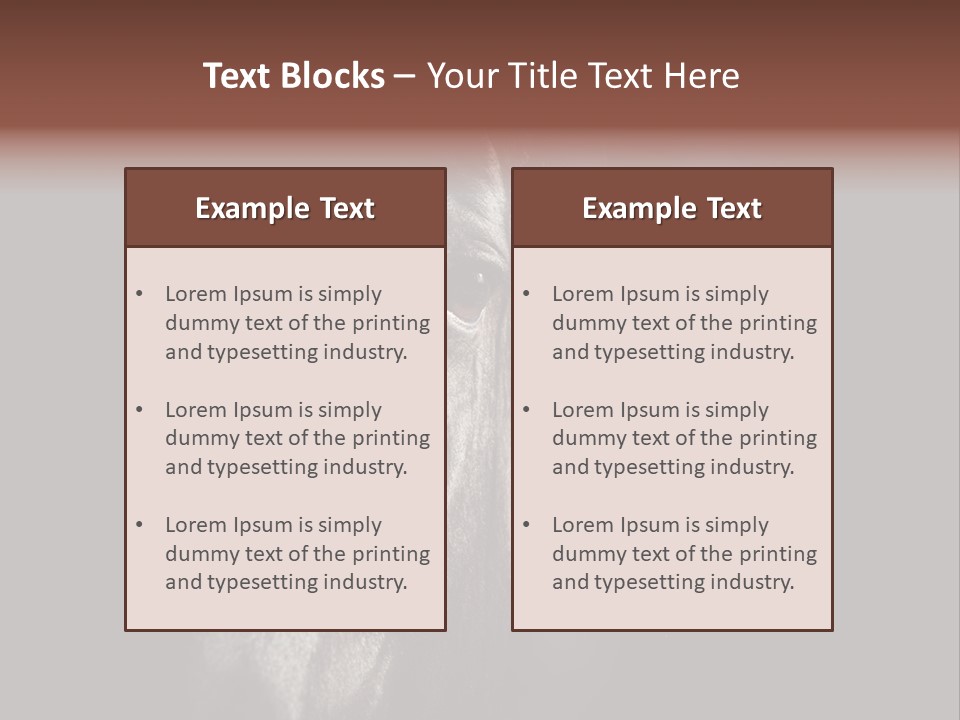 Staring Harness Horse PowerPoint Template