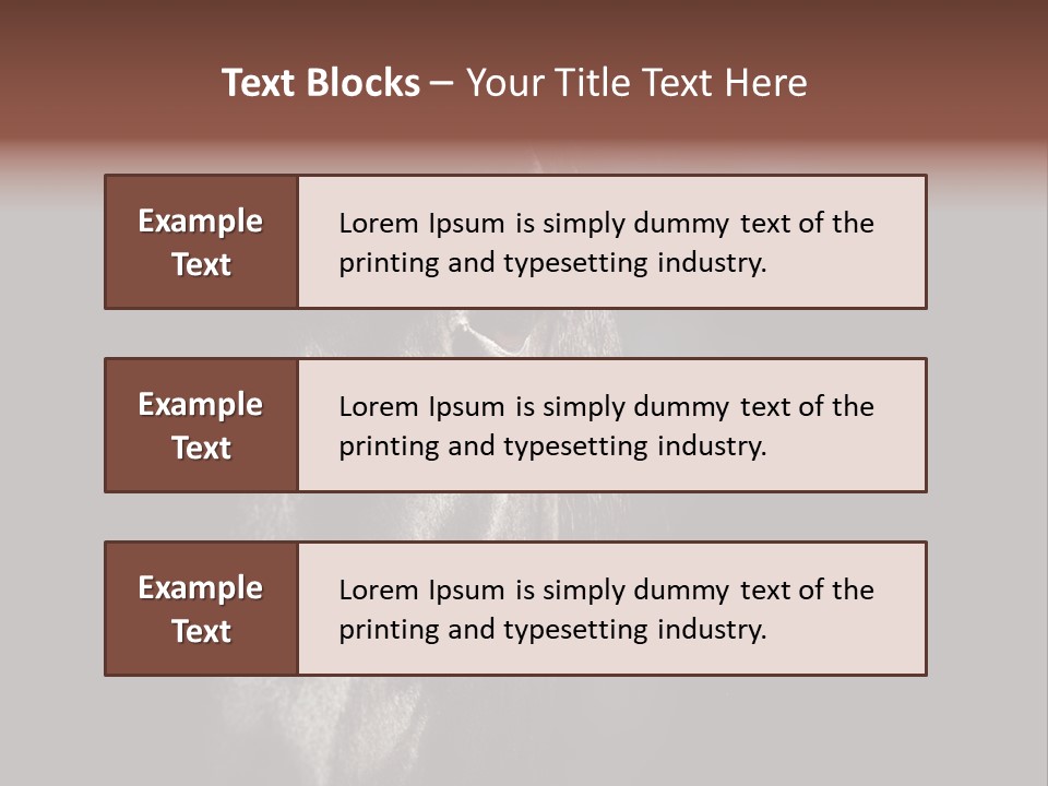 Staring Harness Horse PowerPoint Template