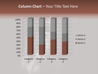 Staring Harness Horse PowerPoint Template