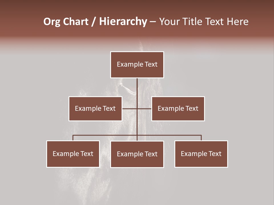 Staring Harness Horse PowerPoint Template