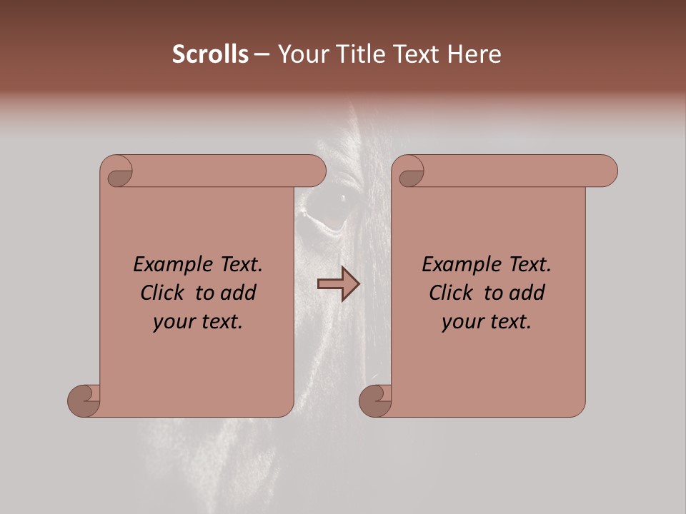 Staring Harness Horse PowerPoint Template