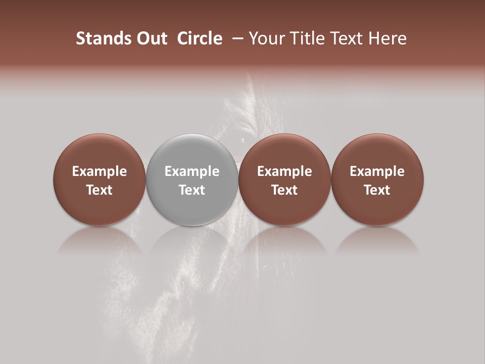 Staring Harness Horse PowerPoint Template