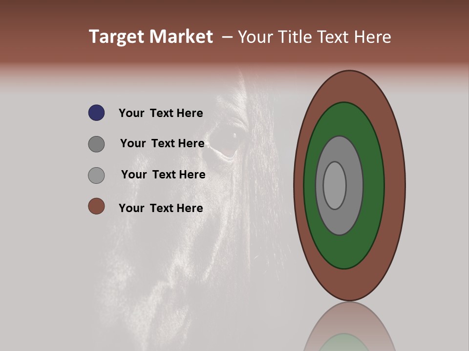 Staring Harness Horse PowerPoint Template