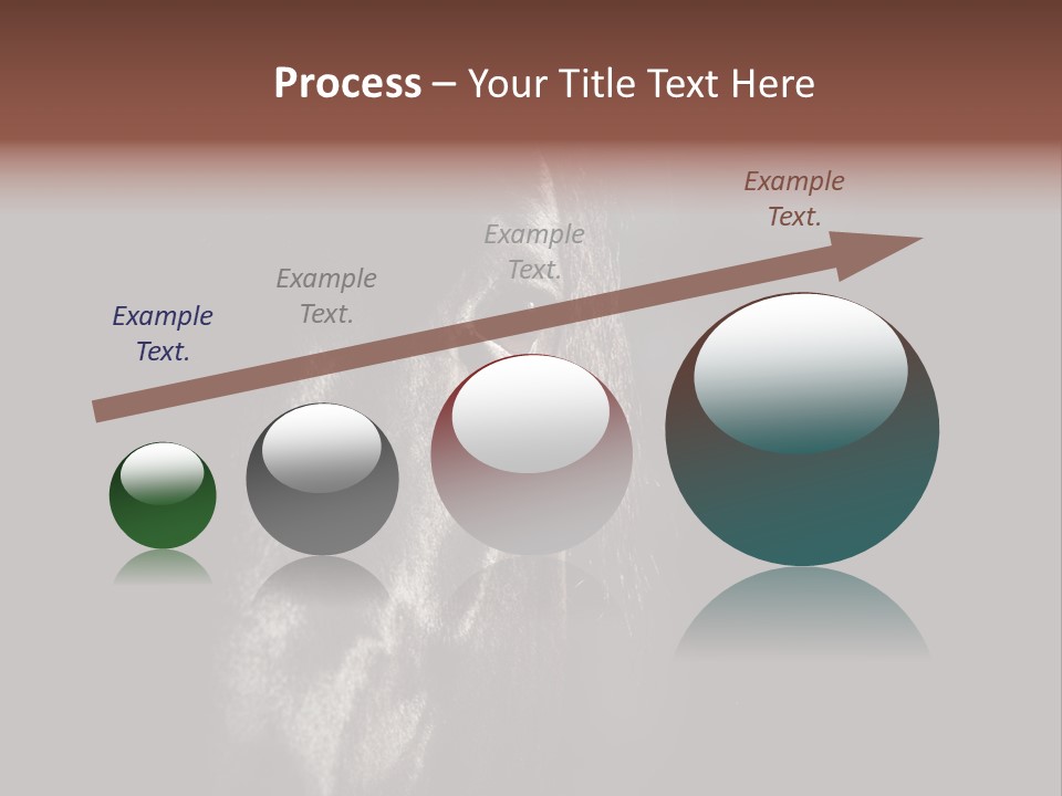Staring Harness Horse PowerPoint Template