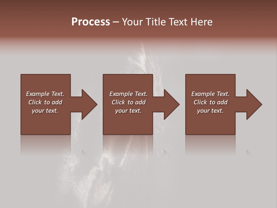 Staring Harness Horse PowerPoint Template