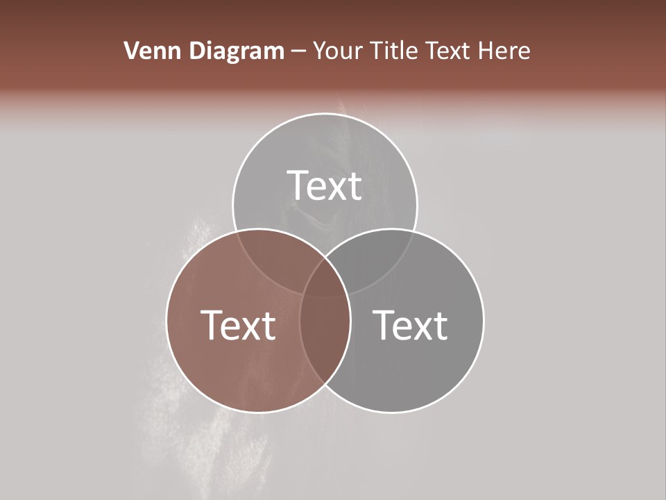 Staring Harness Horse PowerPoint Template