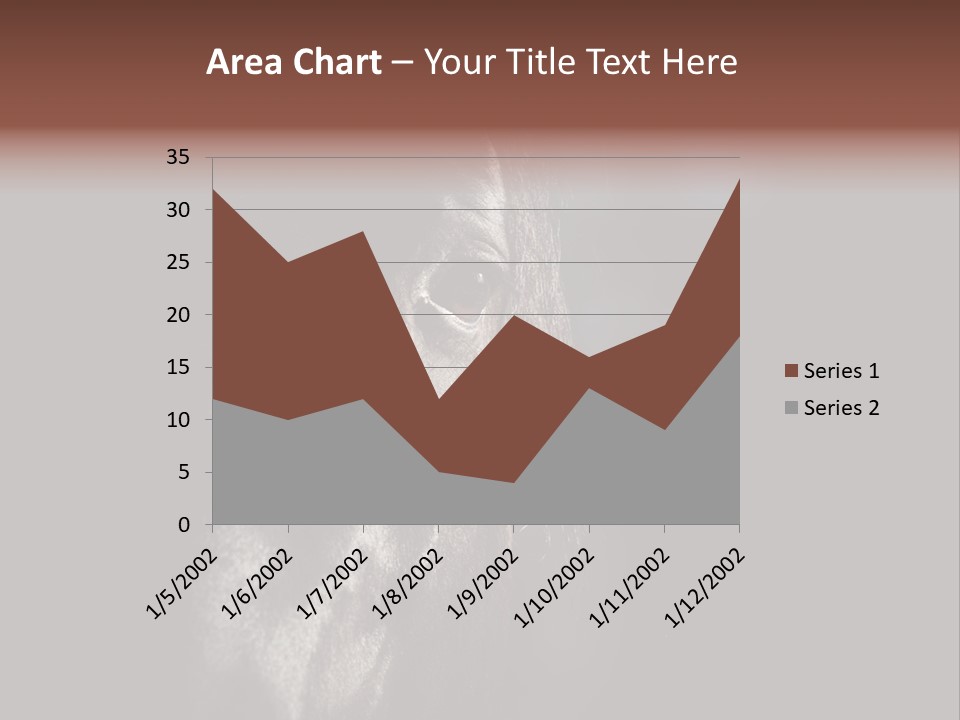 Staring Harness Horse PowerPoint Template