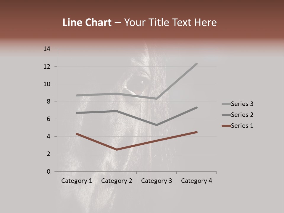 Staring Harness Horse PowerPoint Template