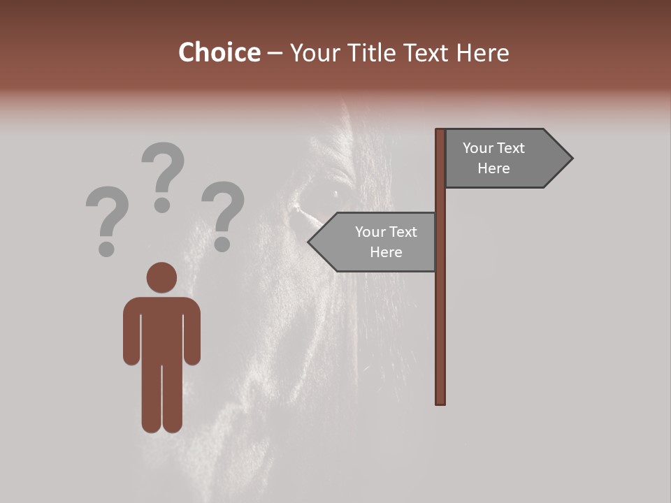 Staring Harness Horse PowerPoint Template
