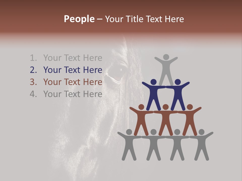Staring Harness Horse PowerPoint Template