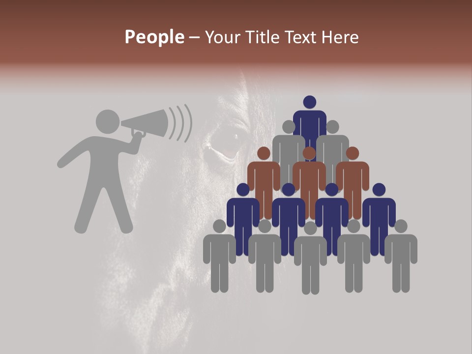 Staring Harness Horse PowerPoint Template