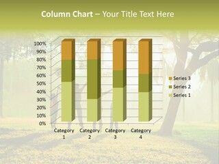 Play Grass Chinese PowerPoint Template