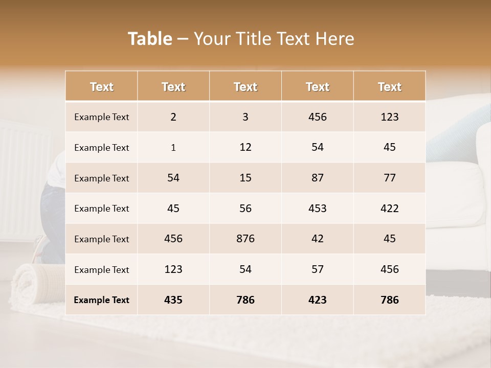 Wife Box Housework PowerPoint Template