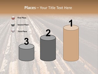 Timber Lumber Trunk Of Tree PowerPoint Template