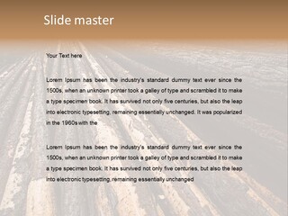 Timber Lumber Trunk Of Tree PowerPoint Template